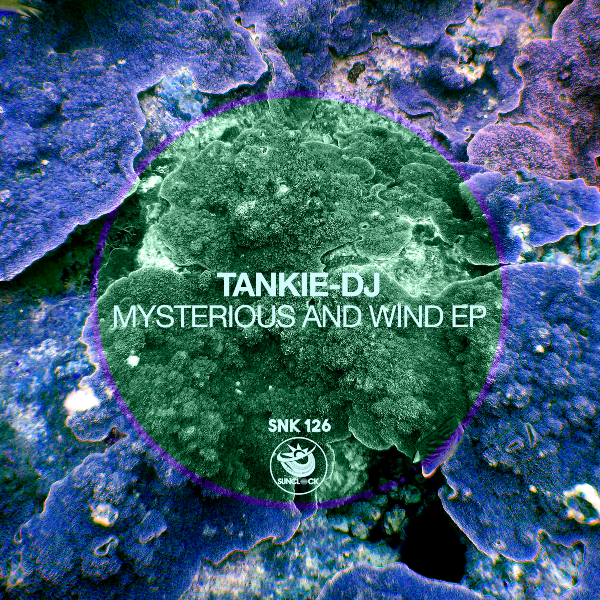Tankie-DJ - Mysterious and Wind EP - SNK126 Cover